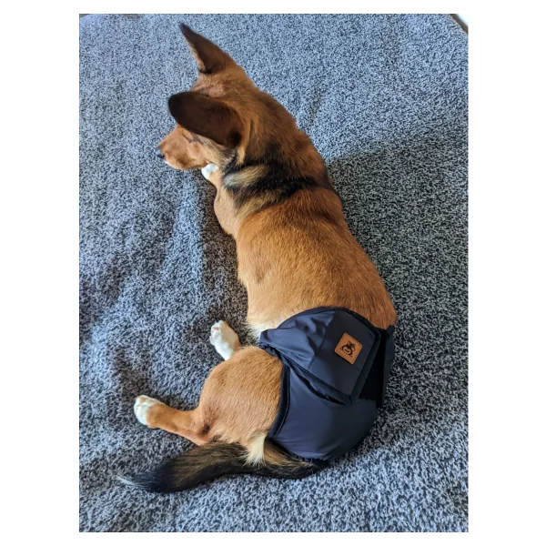 Utd Pet Dişi Köpek Regl Ve Çiş Külodu Pedli Yıkanabilir - Kırmızı - Görsel 7
