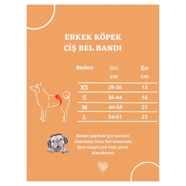 Utd Pet Erkek Köpek Ciş Bel Bandı Külot Pedli Yıkanabilir - Lacivert - Görsel 5
