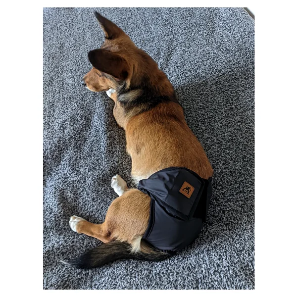 Utd Pet Dişi Köpek Regl Ve Çiş Külodu Pedli Yıkanabilir - Kırmızı - Görsel 8
