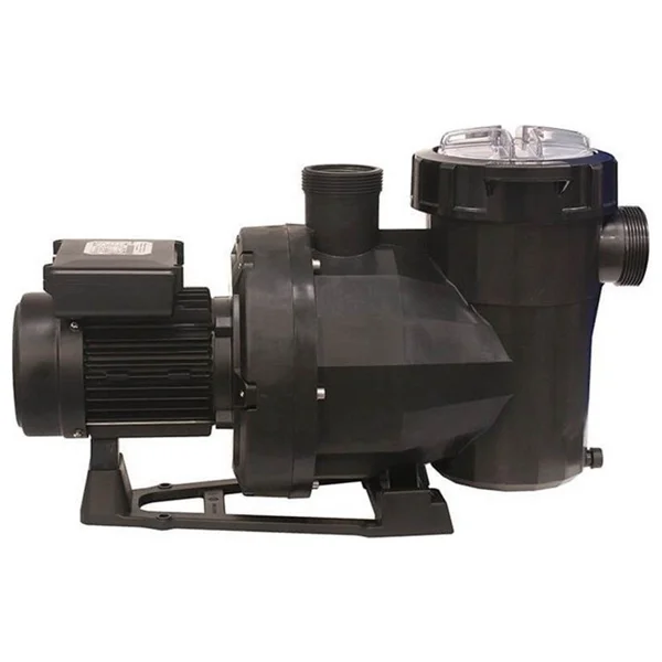 Astral Victoria Plus 2 Hp Monofaze Kendinden Emişli Havuz Pompası - Görsel 3