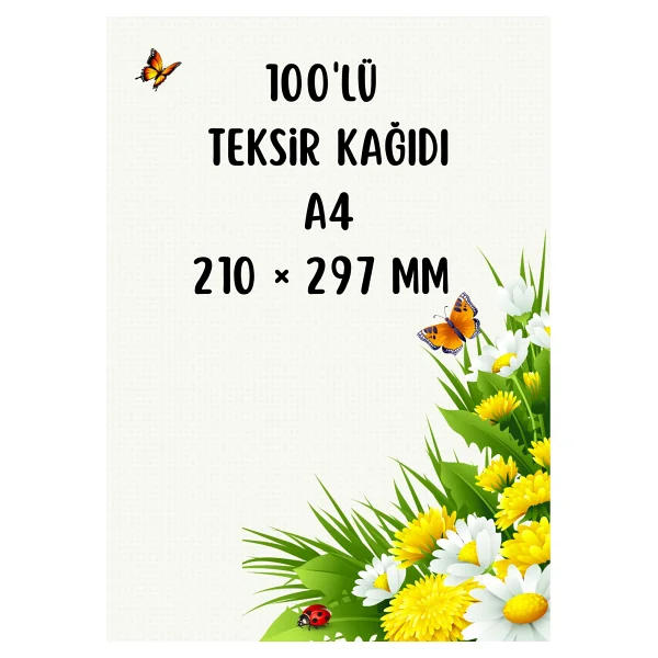 Teksir Kagit Ve Kalemli Sekreterlık - Görsel 2