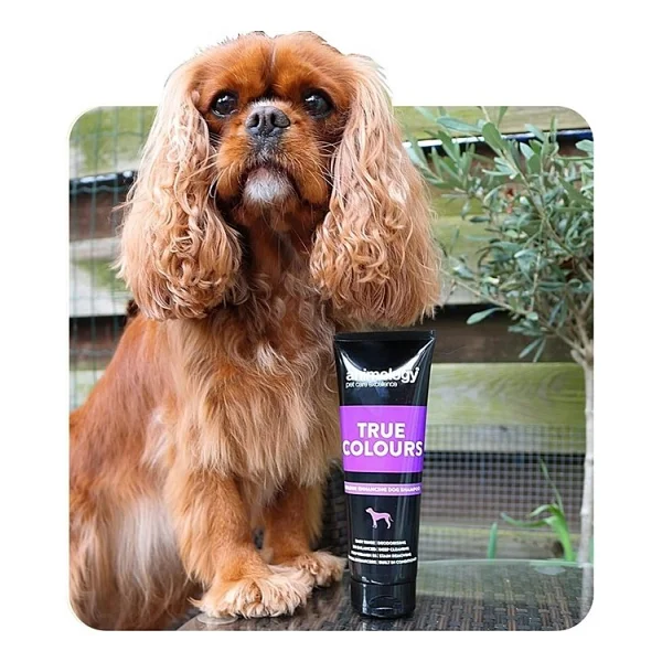 Animology True Colors Renk Koruyucu 250 Ml Köpek Şampuanı - Görsel 5