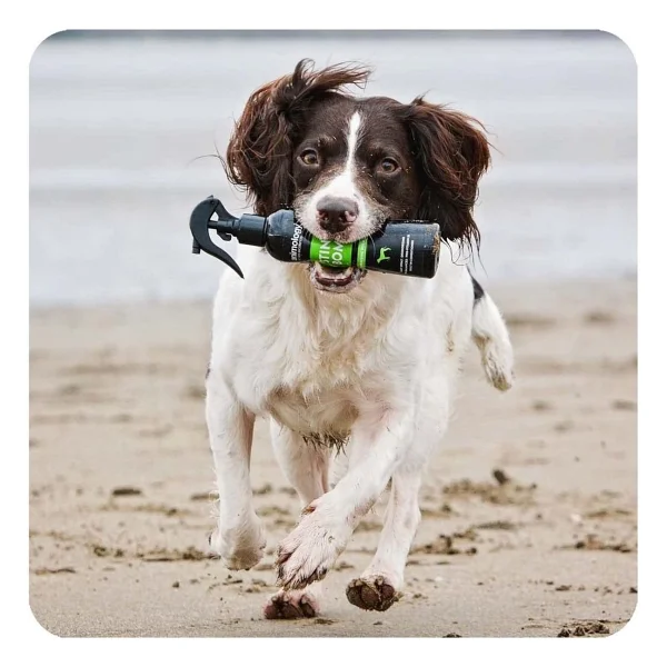 Animology Stink Bomb Köpekler İçin Kuru Şampuan - Görsel 5
