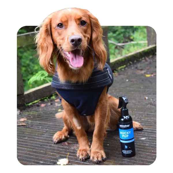 Animology Mucky Pup No Rinse 250 Ml Yavru Köpek Şampuanı - Görsel 10