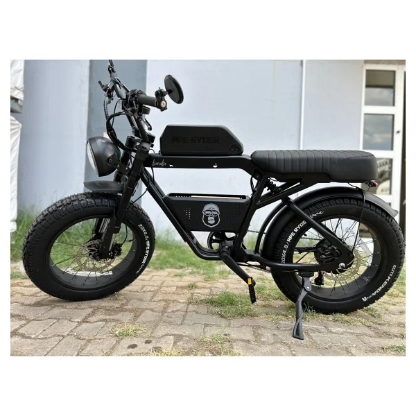 Ape Ryder Bonobo 250 W İki Kişilik Elektrikli Bisiklet - Görsel 2