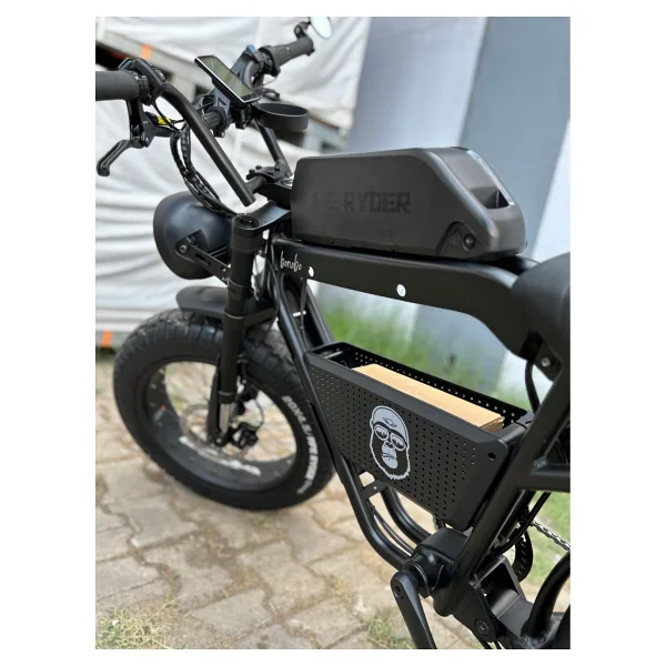 Ape Ryder Bonobo 250 W İki Kişilik Elektrikli Bisiklet - Görsel 4