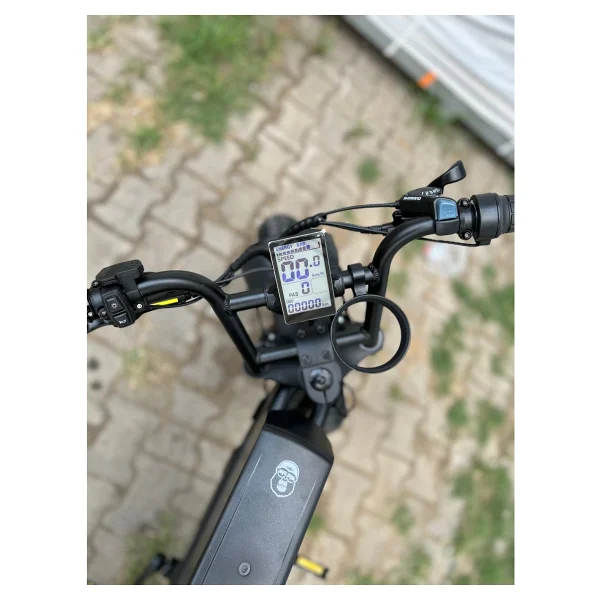 Ape Ryder Bonobo 250 W İki Kişilik Elektrikli Bisiklet - Görsel 6