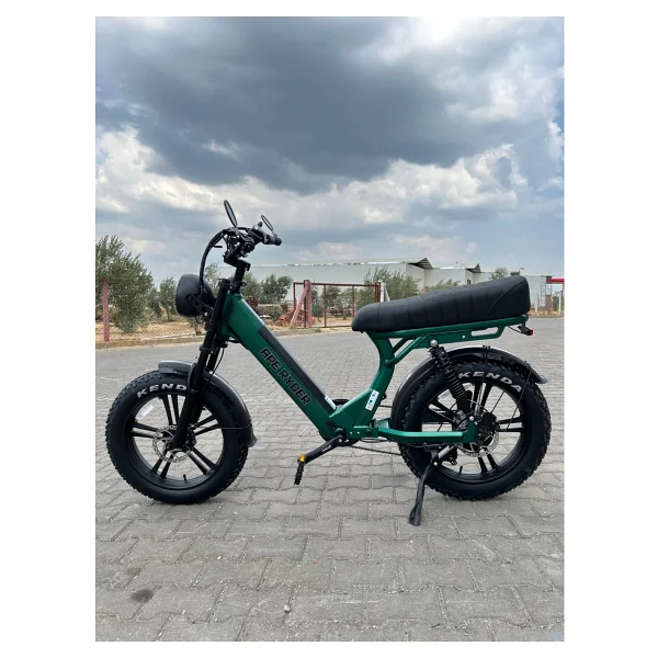 Ape Ryder Md10 Premium 750 W Elektrikli Bisiklet - Görsel 6