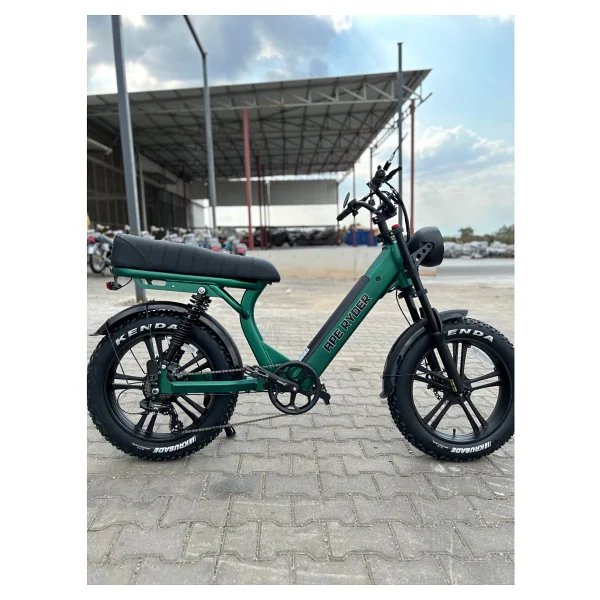 Ape Ryder Md10 Premium 750 W Elektrikli Bisiklet - Görsel 2