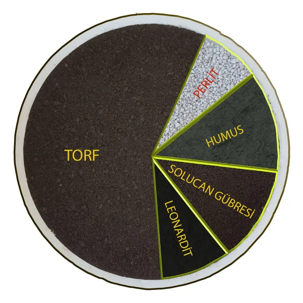 Agrobit Akıllı Toprak 40lt Kaktüs Aloevera Lithops Ve Succulent Toprağı Zengin Karışım - Görsel 2