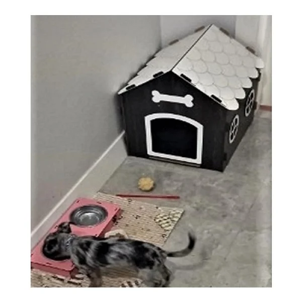 Hobicim Süper Set Ahşap Dekoratif Köpek Evi-Kulübesi ,Kedi Evi Minder Ve Zincir Tasma (Rebab-Beyaz) - Görsel 2