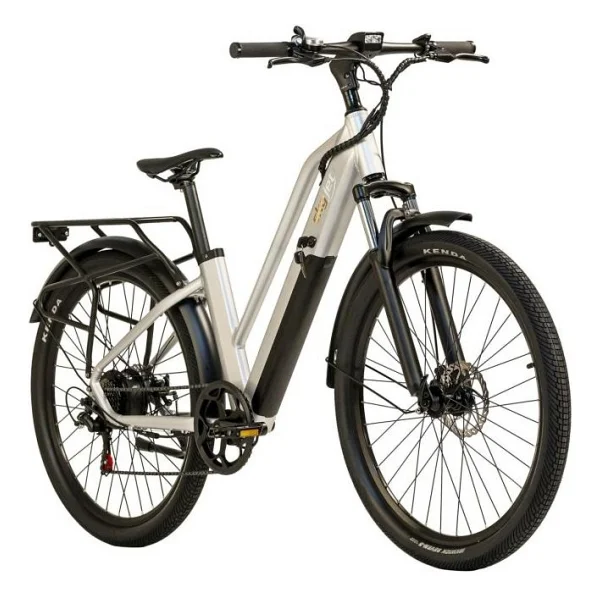 Skyjet 6A 250 W Elektrikli Bisiklet - Görsel 3