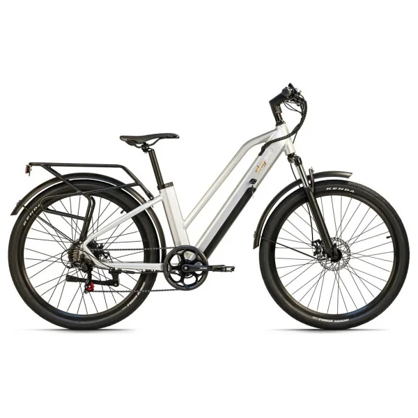 Skyjet 6A 250 W Elektrikli Bisiklet - Görsel 5