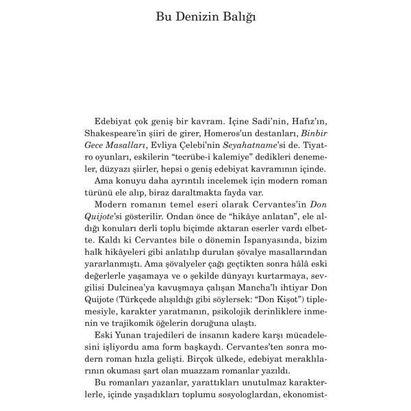 Edebiyat Mutluluktur - Zülfü Livaneli - Görsel 10