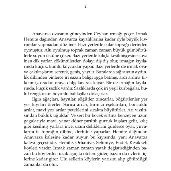İnce Memed 2 - Yaşar Kemal - Görsel 4