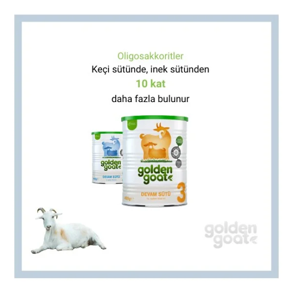 Golden Goat 2 Keçi Sütlü Devam Sütü 400 Gr 12 Adet - Görsel 5
