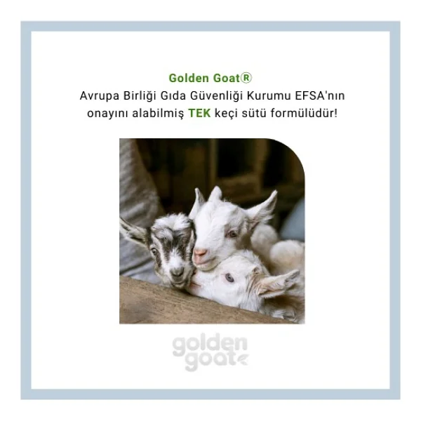 Golden Goat 2 Keçi Sütlü Devam Sütü 400 Gr 12 Adet - Görsel 7