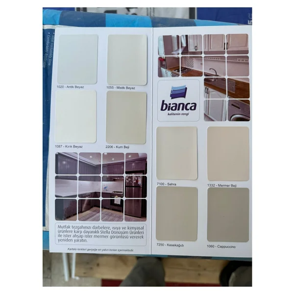 Bianca Stella 1 Lt 1072 Tay Tüyü Su Bazlı Saf Akrilik Boya - Görsel 4