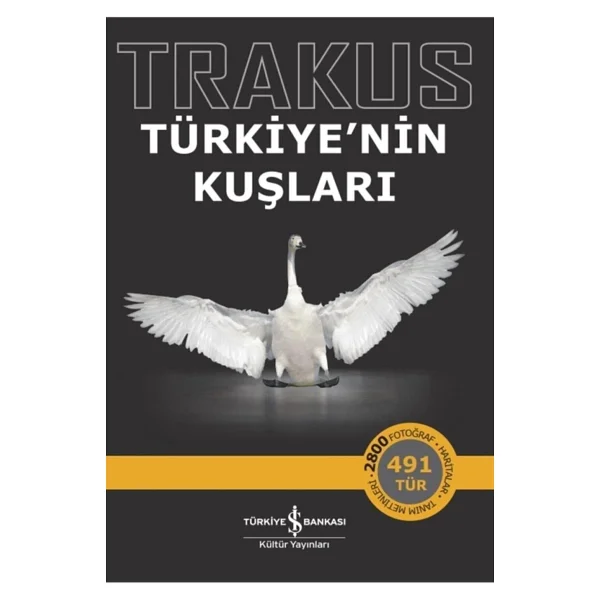 Trakus - Türkiye'nin Kuşları - Kolektif - Görsel 3