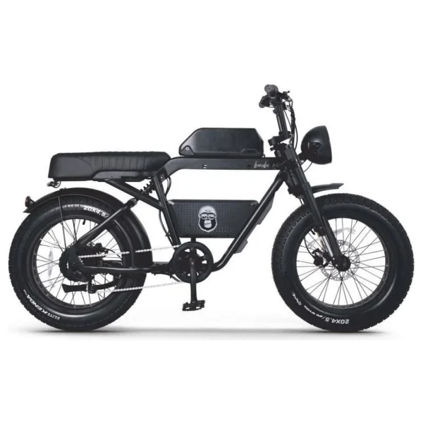 Ape Ryder Bonobo 250 W İki Kişilik Elektrikli Bisiklet