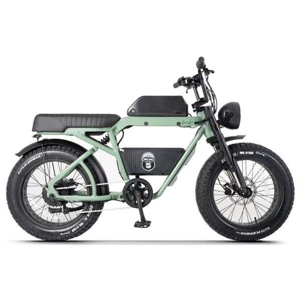 Ape Ryder Bonobo 250 W İki Kişilik Elektrikli Bisiklet - Görsel 9