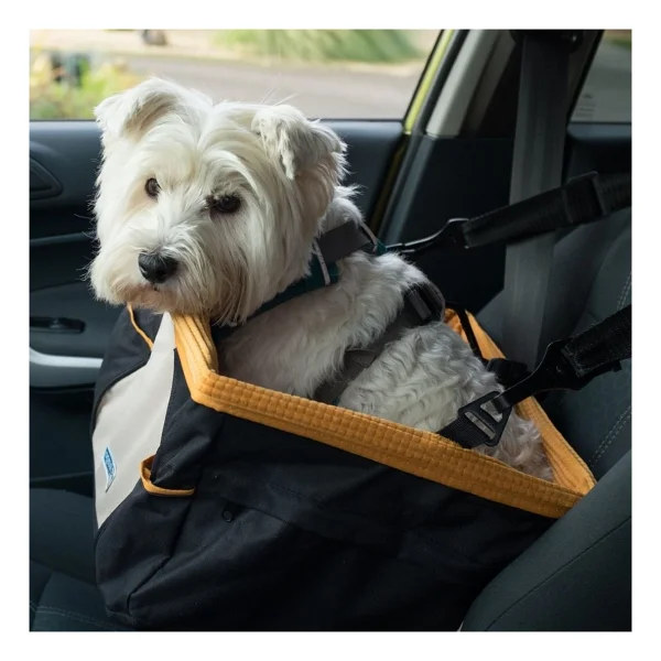 Pet Safe Kurgo Skybox Köpek Otokoltuğu Kavuniçi / Siyah K00044 - Turuncu - Görsel 4