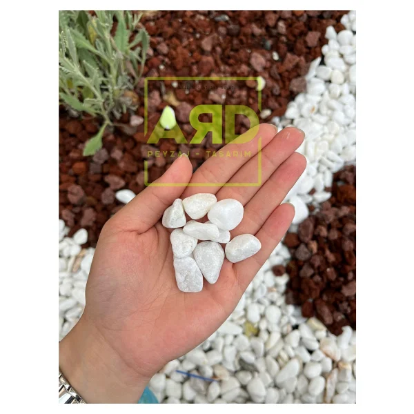 Ard Peyzaj Dolomit Taşı 25 Kg 2-4 Cm Beyaz Dolomit Taş Dere Çakıl Taşı Bahçe Süs Taşı Teraryum Taşı Ard Peyzaj - Görsel 4