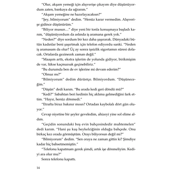 Ortadan Kaybolan Fil - Haruki Murakami - Görsel 10