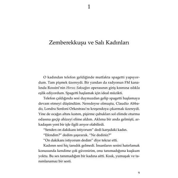 Ortadan Kaybolan Fil - Haruki Murakami - Görsel 5