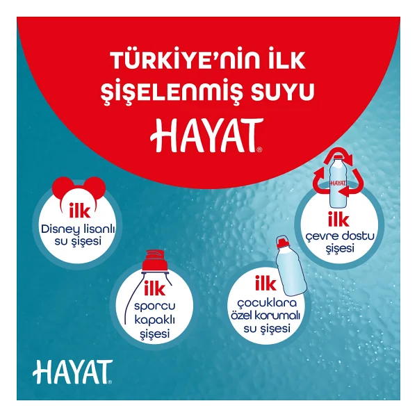 Hayat Sporcu Kapak Su 12x750 Ml - Görsel 4
