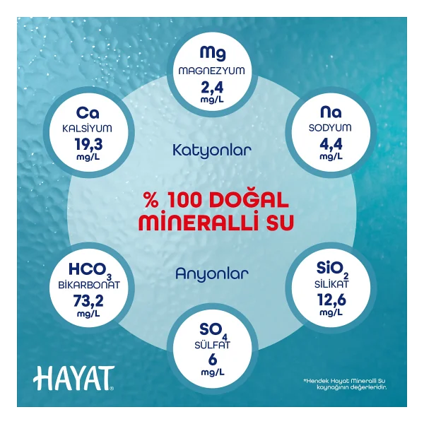 Hayat Sporcu Kapak Su 12x750 Ml - Görsel 5