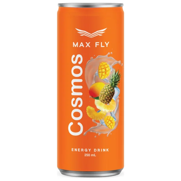 Max Fly Enerji İçeceği 250 Ml Karma Paket 12'li - Görsel 3