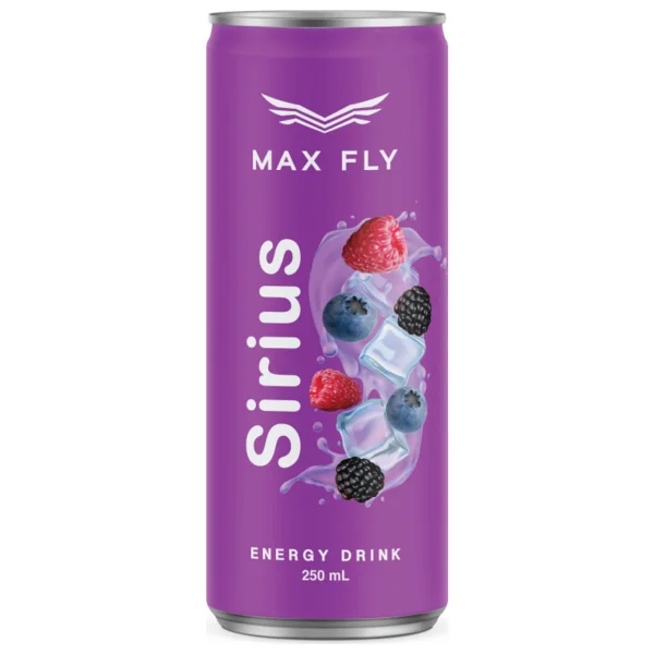 Max Fly Enerji İçeceği 250 Ml Karma Paket 12'li - Görsel 5