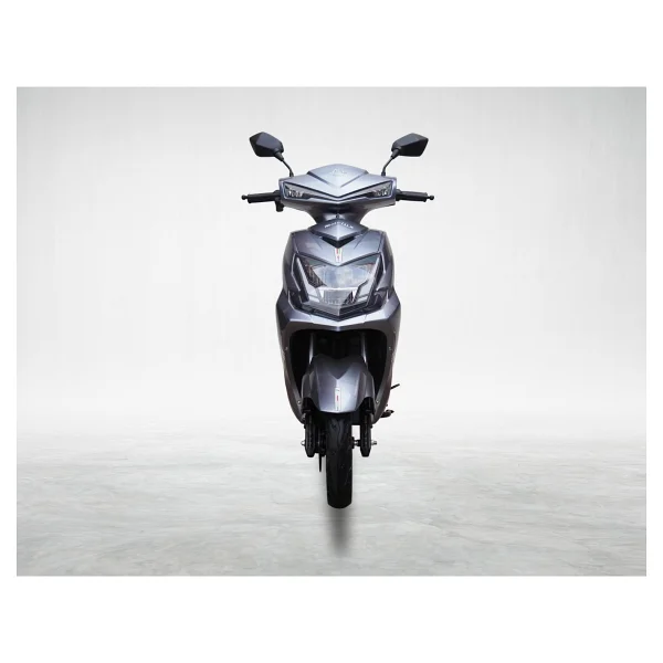 Motolux Alf Plus Lux 1500 W Elektrikli Motosiklet - Görsel 2