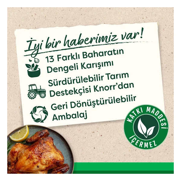 Knorr 60 Gr Tavuk Çeşnisi - Görsel 5