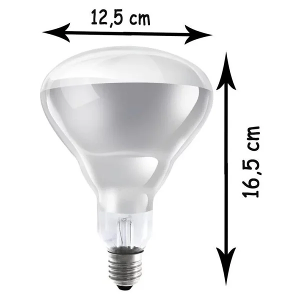 Ledvance 250 W Infrared Şeffaf Ampul E27 - Görsel 2