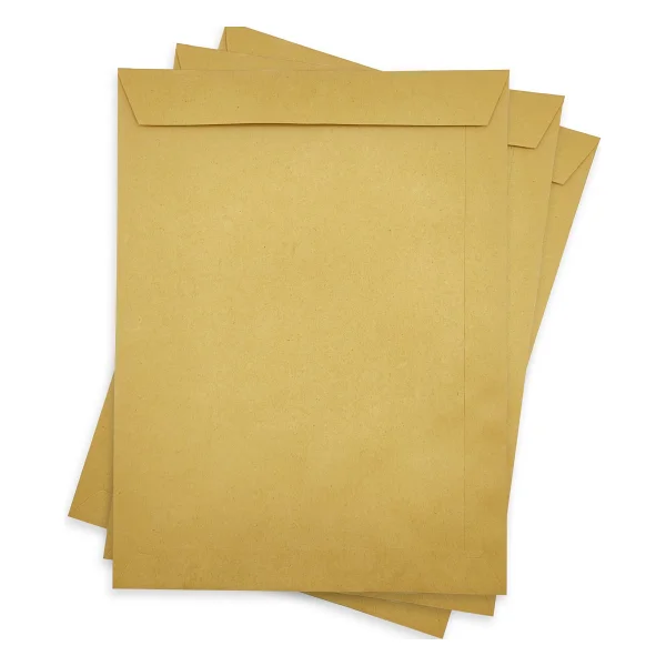 Limmy Zarf A4 Boyutunda Formula Torba Zarf 24x32 Cm - 20 Adet - Görsel 5