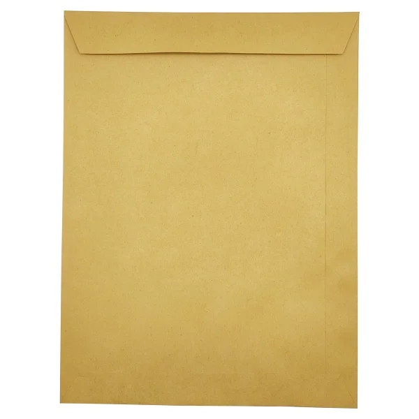 Limmy Zarf A4 Boyutunda Formula Torba Zarf 24x32 Cm - 20 Adet - Görsel 2