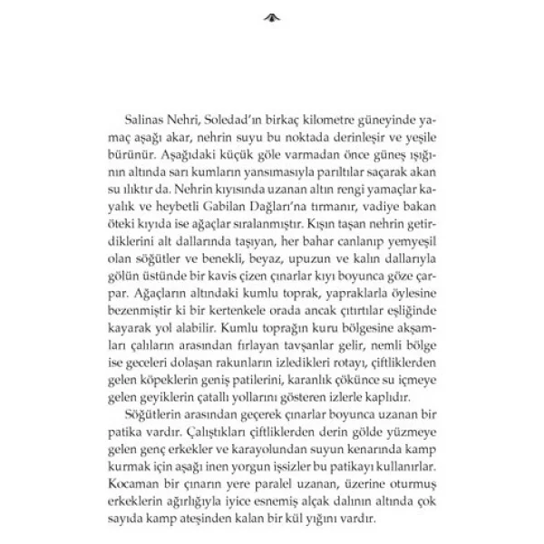 Fareler Ve İnsanlar - John Steinbeck - Görsel 2