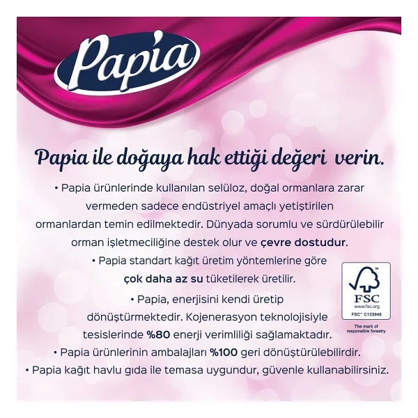 Papia 3 Katlı 12'li Kağıt Havlu - Görsel 4
