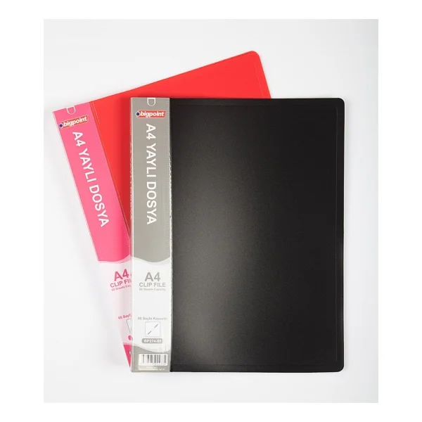 Bigpoint Bp274 A4 Yaylı Dosya - Görsel 3