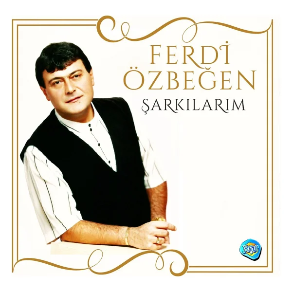 Record Master T317ub Siyah Çantalı Retro Pikap - Görsel 4