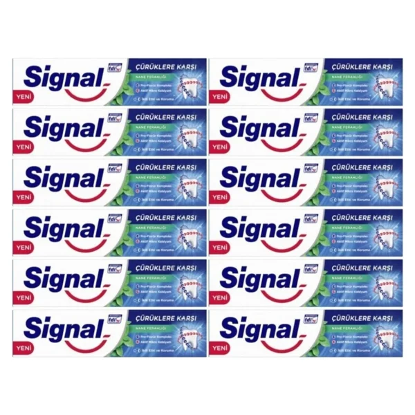 Signal Çürüklere Karşı Nane Ferahlığı 100 Ml 12 Adet Florürlü Diş Macunu - Görsel 4