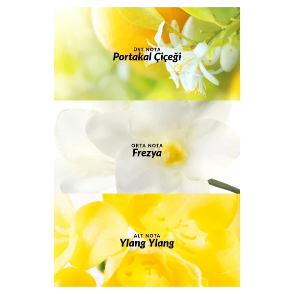 Avon Tta Today Edp 10 Ml Kadın Parfüm - Görsel 4
