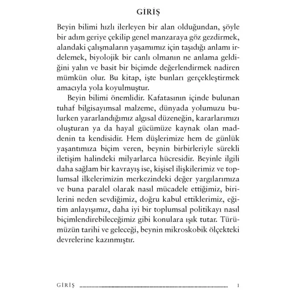 Beyin - Senin Hikayen - David Eagleman - Görsel 5