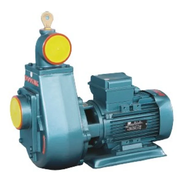 Domak ÜK3 220 V 2 Hp Monoblok Elektropomp - Görsel 4
