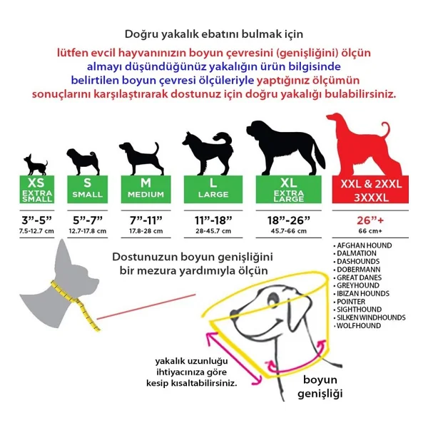Eastland Elızabeth Dayanıklı Yakalık 7,5 Cm - Görsel 2
