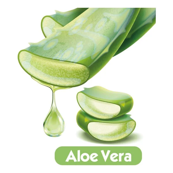 Baby Turco Softcare Aloe Vera 90 Yaprak 24'lü Paket Islak Bebek Havlusu - Görsel 2