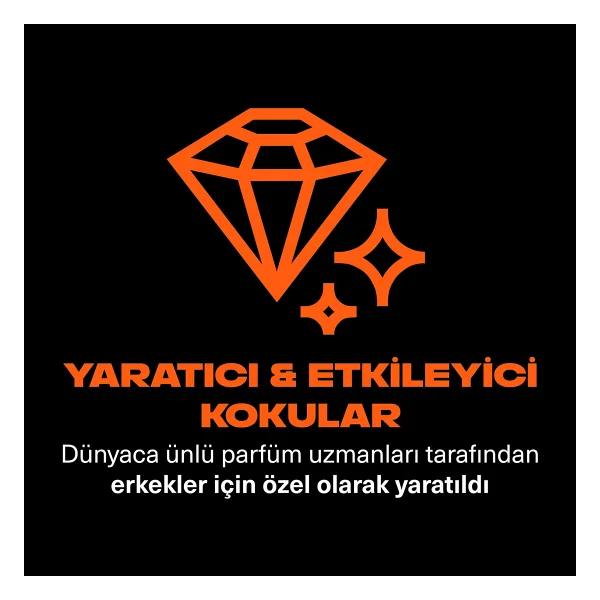 Axe Premium Collection Copper Santal 3 İn 1 300 Ml Duş Jeli - Görsel 4
