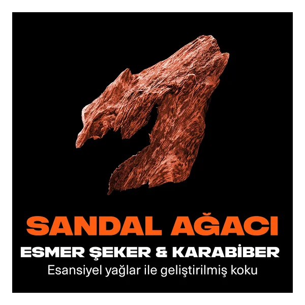 Axe Premium Collection Copper Santal 3 İn 1 300 Ml Duş Jeli - Görsel 5